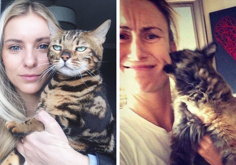 68 Times Cats Didn’t Want To Be In Your Stupid Selfies And The Result Was Hilarious