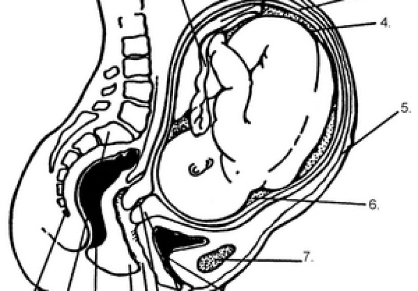 #849 The Fetal Position - 1000 Awesome Things