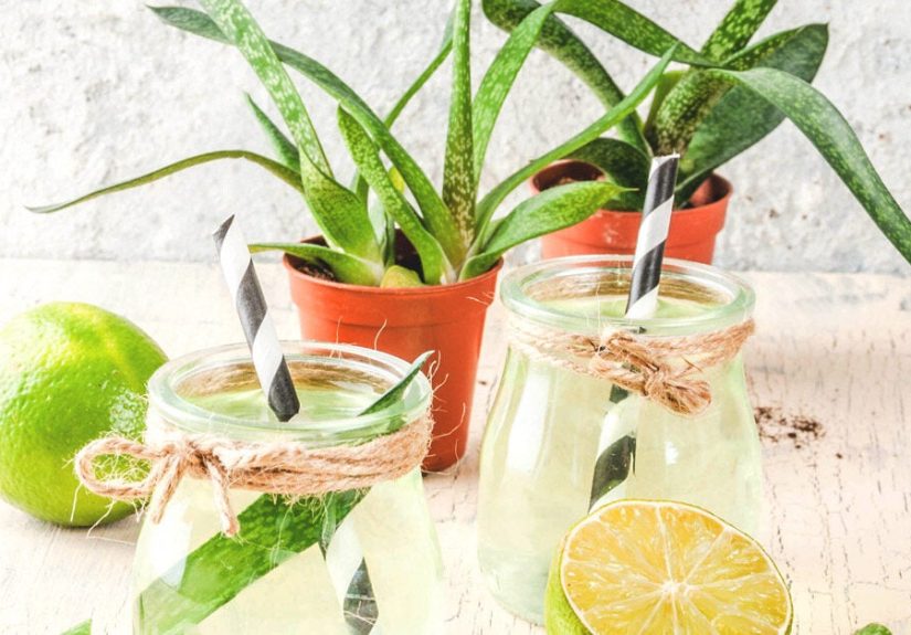 Aloe Vera Juice Benefits: For Health
