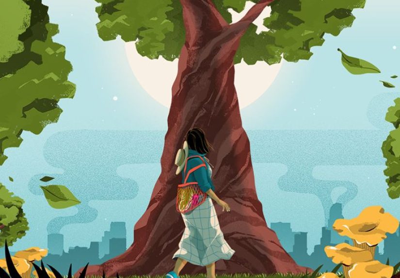 Deforestation: Human Health Impacts and How to Fight Back