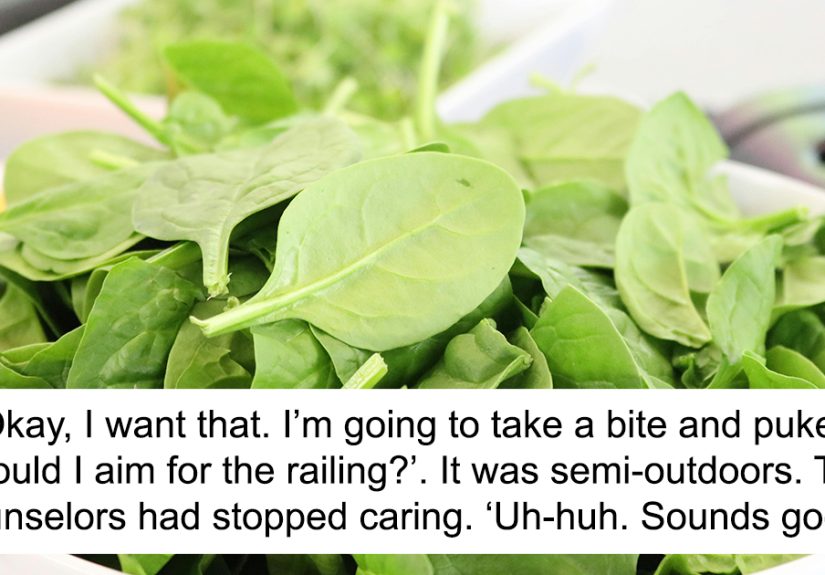 Girl Can’t Eat Spinach, Gets Told To Eat At Least 3 Bites To Get Dessert, Maliciously Complies