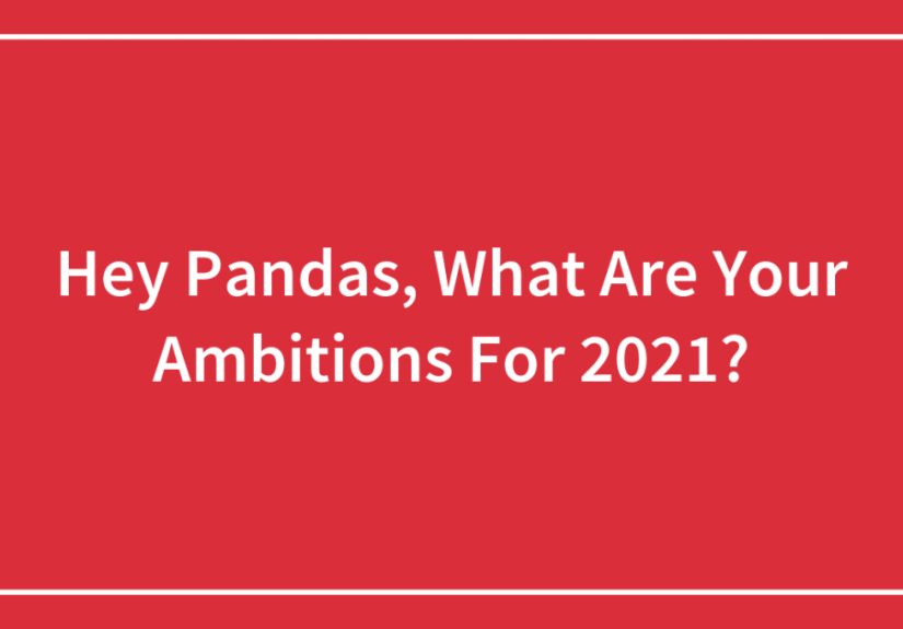 Hey Pandas, What Are Your Ambitions For 2021?