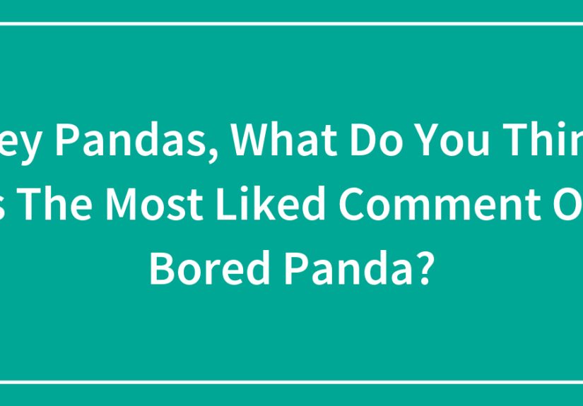 Hey Pandas, What Do You Think Is The Most Liked Comment On ?