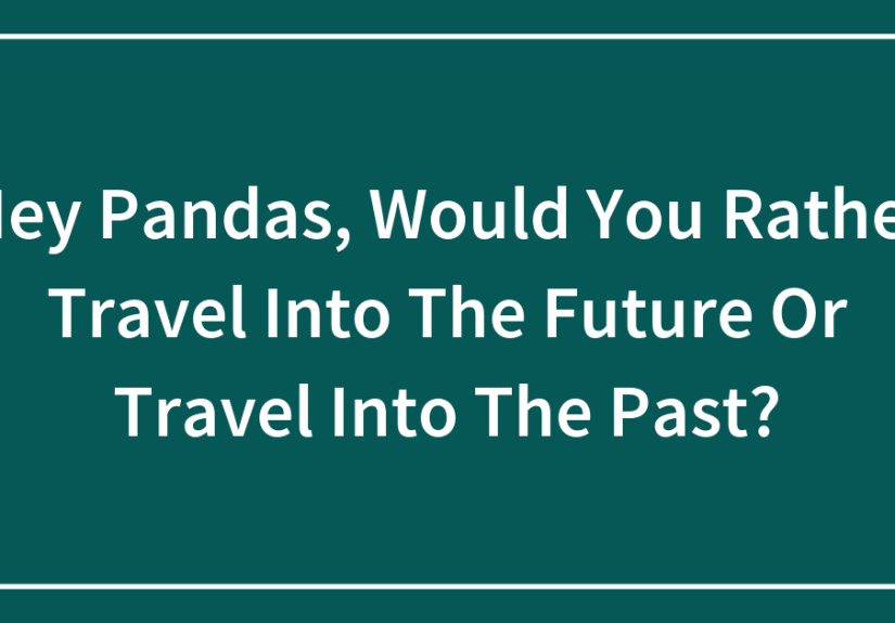 Hey Pandas, Would You Rather Travel Into The Future Or Travel Into The Past?
