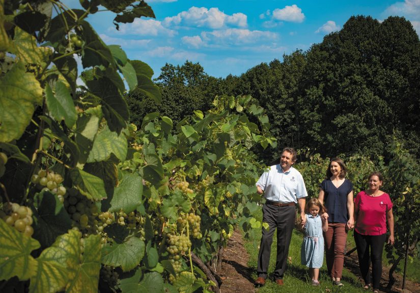 Home Grown: Cultivate Your Agency’s Next Leaders with “Perpeducation” - IA Magazine