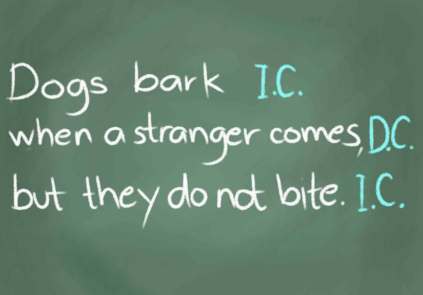 How to Identify Different Types of Sentences: 15 Steps