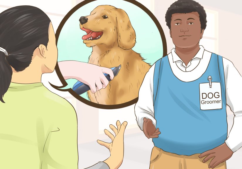 How to Trim the Coat of a Long Hair Dog: 13 Steps