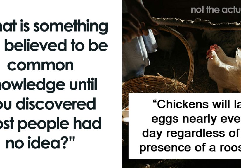 &ldquo;It Seems To Blow People's Minds&rdquo;: 48 Pieces Of Common Knowledge People Realized Weren't So Common