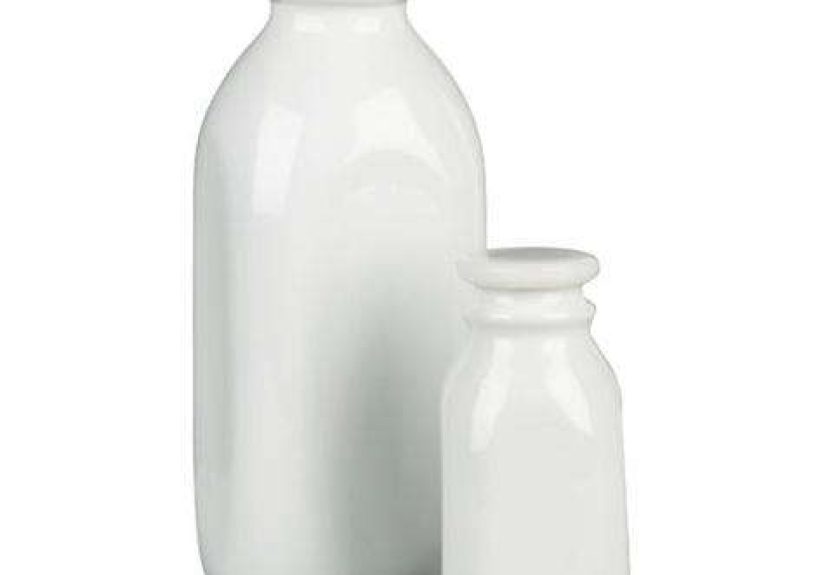 Kitchen: Porcelain Milk Bottles from Crate & Barrel