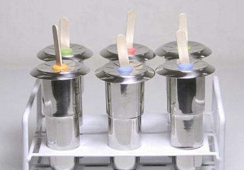 Kitchen: Stainless Popsicle Mold from Brook Farm General Store