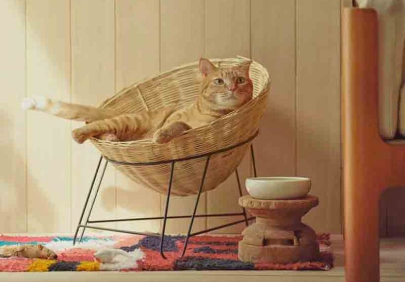 Orneko Iron Leg Rattan Chair