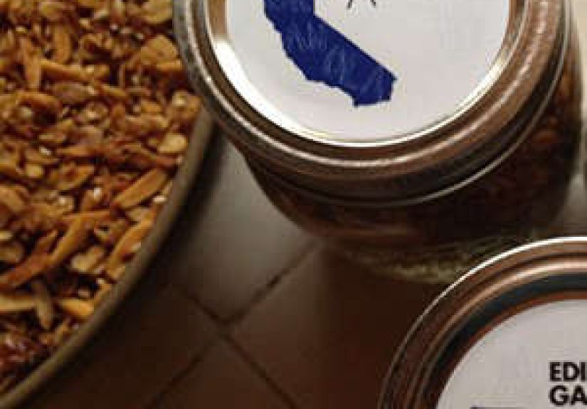 The Granola Project